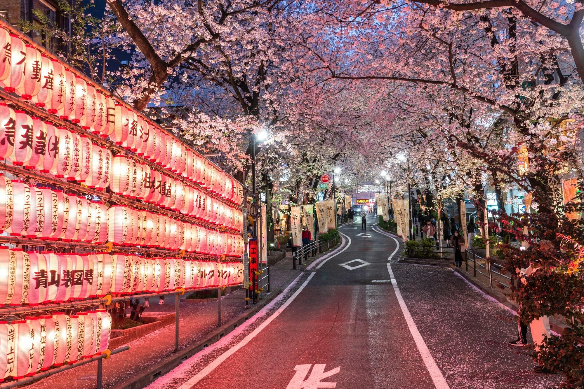 🏛️ 무사시 고쿠분지 터(무사시코쿠분지아토) 이미지 10